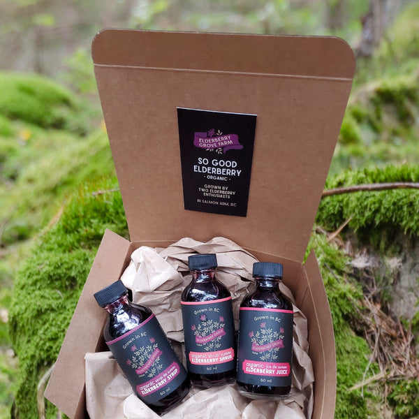 Mini Elderberry | 3-Pack Sampler | Certified Organic