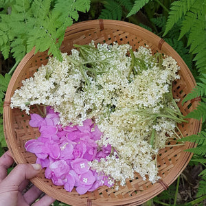 Sparkling Elderflower & Rose Ferment