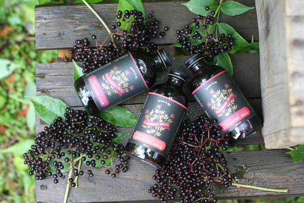 elderberry syrup, elderberry shrub, elderberry juice