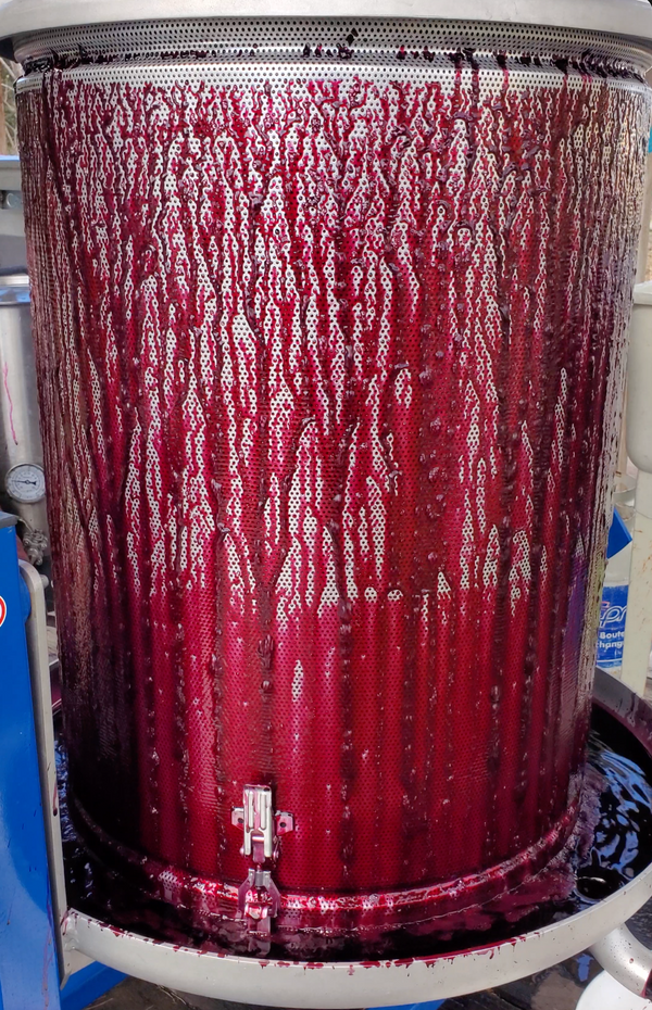 Frozen Elderberry Juice | Certified Organic