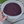 Elderberry Tea | Certified Organic