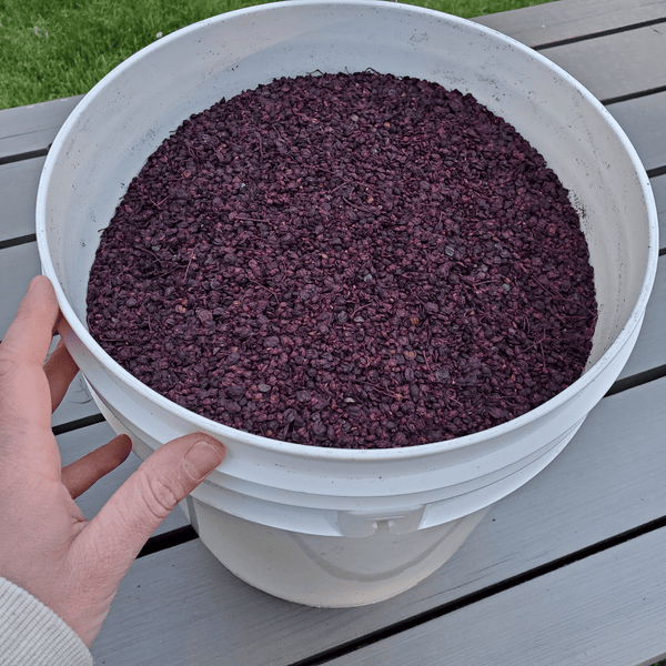 Elderberry Tea | Certified Organic