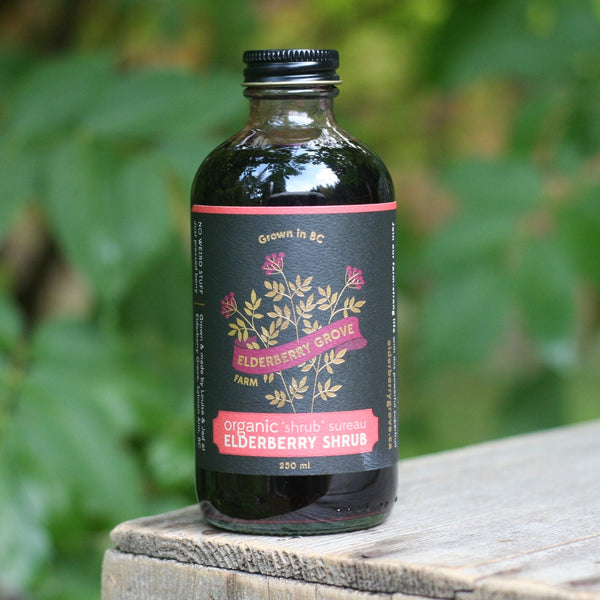 Elderberry Shrub | Certified Organic