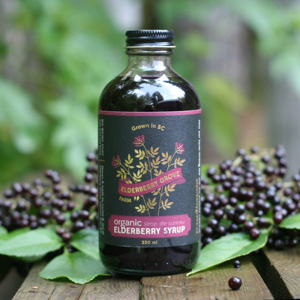 Elderberry Syrup | Certified Organic