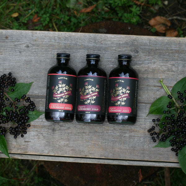 elderberry syrup, elderberry shrub, elderberry juice from elderberry grove organic farm
